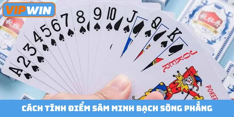 Cách tính điểm sâm minh bạch sòng phẳng