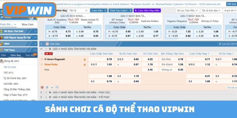Sảnh chơi cá độ thể thao Vipwin