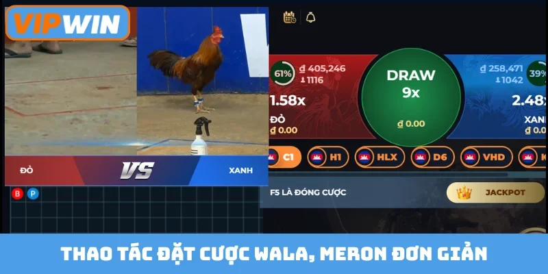 Thao tác đặt cược Wala, Meron đơn giản