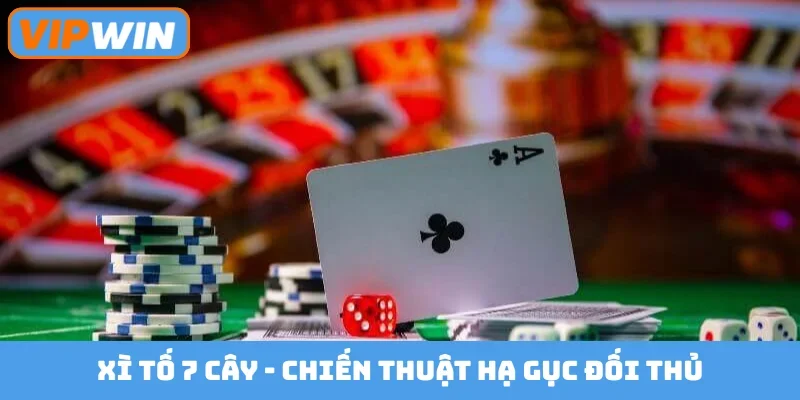 Xì tố 7 cây